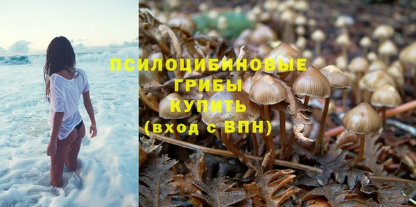 jwh Белокуриха